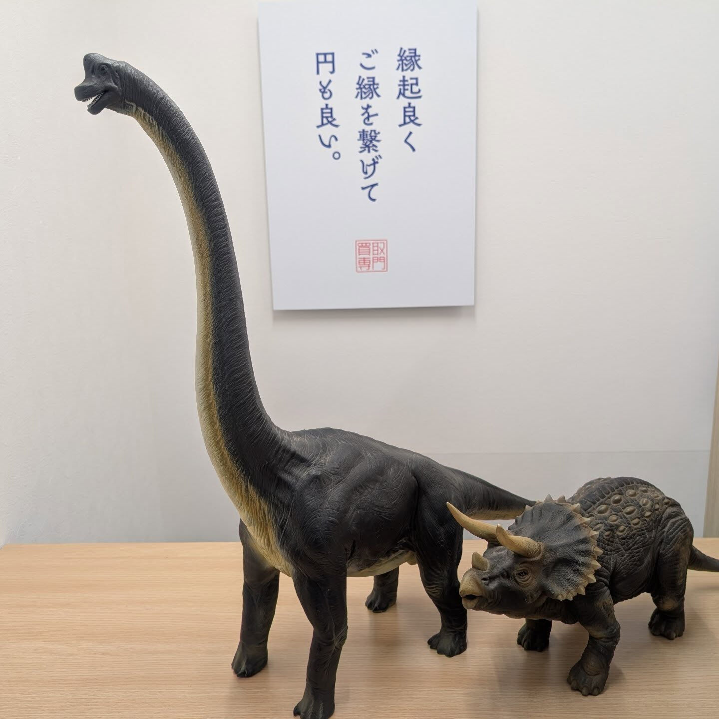 おはようございます☀